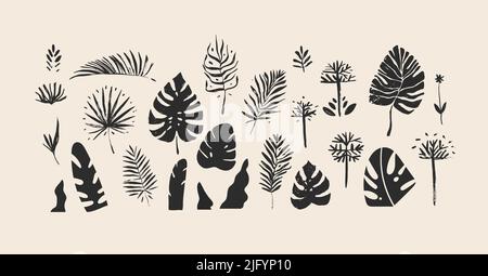 Disegno a mano vettoriale astratto stock piano grafico disegno illustrazioni collezione set con elementi logo di foglie di palma esotiche tropicali, nere Illustrazione Vettoriale
