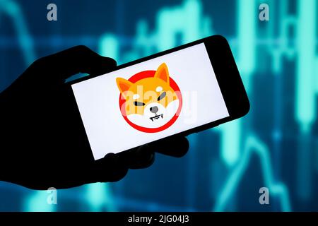 Shiba Inu (SHIB) editoriale. Foto illustrativa per notizie su Shiba Inu (SHIB) - una criptovaluta Foto Stock