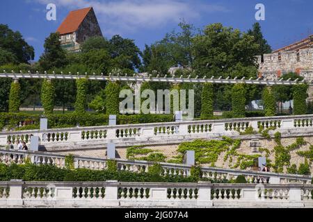 Ungheria, Budapest, Giardino del Castello Bazaar, Várkert Bazár, Foto Stock