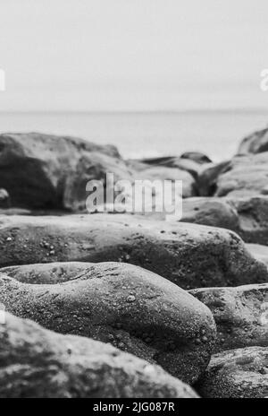 Un'immagine verticale in scala di grigi di rocce sulla spiaggia Foto Stock