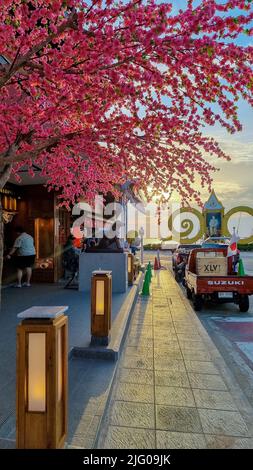 Pattaya Thailandia Ozawa Ramen Pattaya 2022 giugno, ristorante giapponese strada spiaggia ristorante. Foto Stock