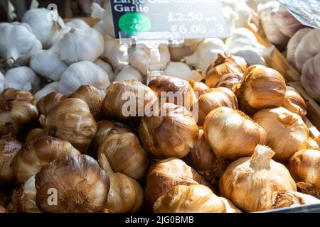 Aglio dalla fattoria aglio sull'isola di bianco all'Hampton Court Palace Flower Festival Foto Stock