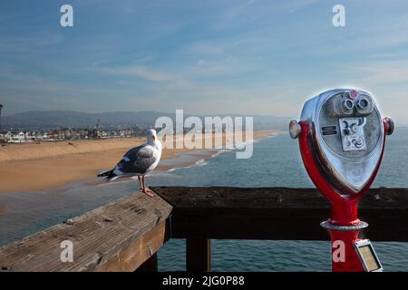 Binocoli a gettoni e primo piano del gabbiano sul molo che si affaccia sulle lunghe spiagge sabbiose sulla penisola di Balboa Newport Beach Southern Californii Foto Stock