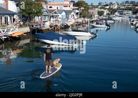 Paddle Boarding con cane lungo il Grand Canal Balboa isola Newport Beach Souther California Stati Uniti Foto Stock