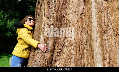 Una donna matura che abbraccia un albero molto grande - John Gollop Foto Stock