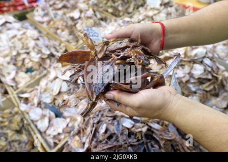 Bangkok, Tailandia. 6th luglio 2022. Un venditore mostra pesce secco in un mercato a Bangkok, Thailandia, 6 luglio 2022. Nel mese di giugno, l'inflazione al consumo della Thailandia è salita a un picco di 14 anni, con la banca centrale sotto pressione crescente per normalizzare la sua politica monetaria, dati ufficiali mostrati martedì. Credit: Rachen Sageamsak/Xinhua/Alamy Live News Foto Stock