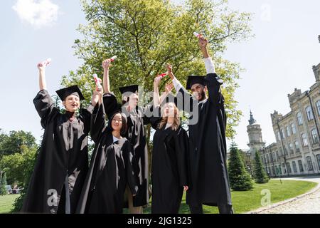 Vista ad angolo basso di eccitati bachelor interrazziali che detengono diplomi nel parco Foto Stock