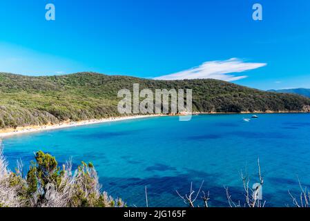 Cala Violina, una delle spiagge più belle della Maremma. Foto Stock