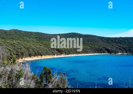 Cala Violina, una delle spiagge più belle della Maremma. Foto Stock