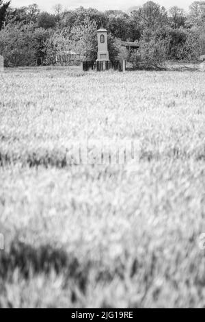 Antico santuario lungo il tragitto in campagna lucidata, tra campi di segale, immagine a infrarossi in bianco e nero Foto Stock