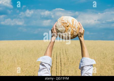 Le mani femminili tengono la focaccia di pane fatta in casa sopra la sua testa sopra un cielo blu estate in un campo di grano. Concetto di sicurezza alimentare mondiale. Foto Stock