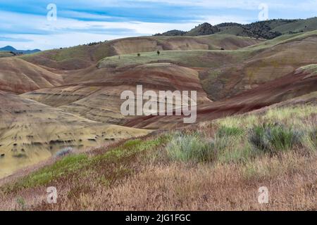 Formazione di terra colorata e insolita delle colline dipinte nell'Oregon centrale, Stati Uniti con colore verde rosso e giallo nelle rocce. Foto Stock