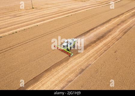 Vista aerea della mietitrebbia che lavora su campo grano. Attività agricola, paesaggio agricolo ungherese, crisi alimentare. Foto Stock