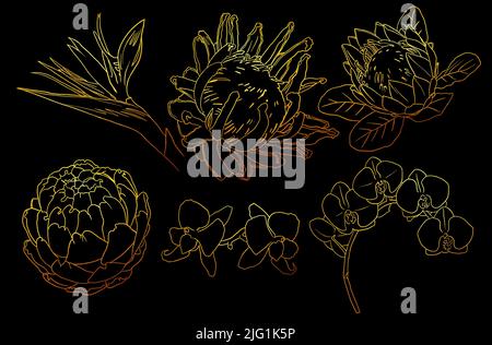 Set tropicale dorato, linee dorate, foglie di palma e fiori tropicali Foto Stock