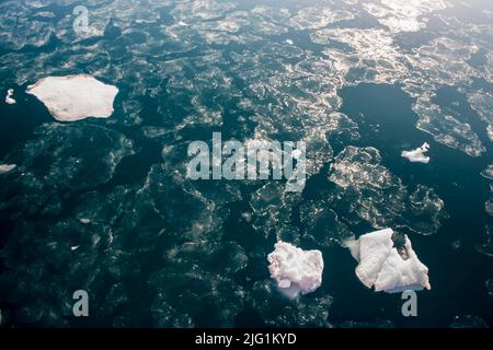 Il mare inizia a gelare in Crystal Sound sulla penisola antartica Foto Stock