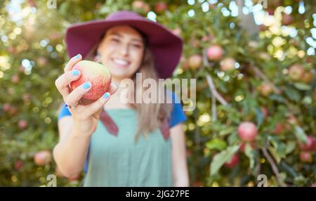 Giovane agricoltore donna che detiene una mela appena raccolta si è raccolta in un giardino di frutteto. Donna che raccoglie frutta biologica nutriente per fare il succo Foto Stock