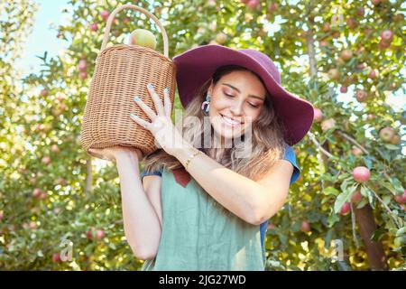 Giovane donna sorridente che porta un secchio pieno di mele. Una donna che tiene un sacchetto pieno di frutta biologica in un frutteto durante la stagione di raccolta fuori Foto Stock