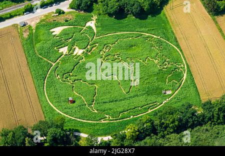 06 luglio 2022, Baviera, Utting am Ammersee: La vista aerea mostra un campo vegetale elaborato non lontano dal lago Ammersee in alta Baviera, in cui gli agricoltori Corinne e Uli Ernst e un team di 20 hanno incorporato un labirinto. Presenta una colomba di pace di Picasso sopra la mappa del mondo. La pittura sovradimensionata copre un'area di circa 18.000 metri quadrati ed è costituita da circa 350.000 piante, compresi girasoli, canapa, mais, muta selvatica, zucche e fagioli ornamentali. I semi sono già stati seminati in aprile. Tutti i sentieri insieme sono lunghi circa 3,1 km, e dal 1999 hanno formato il 24 Foto Stock