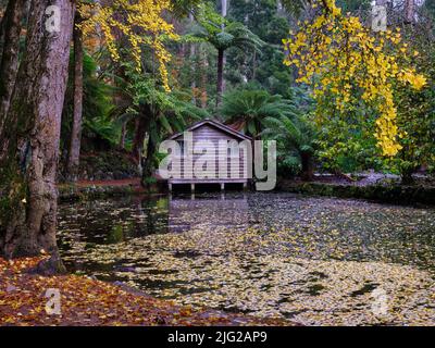 La Boathouse in autunno Foto Stock