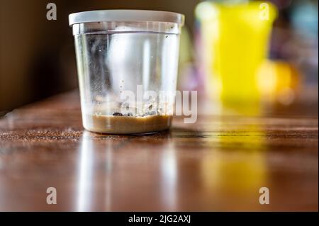 Ordine di posta il kit farfalla che inizia con i caterpillars in un vaso di alimentazione. Foto Stock