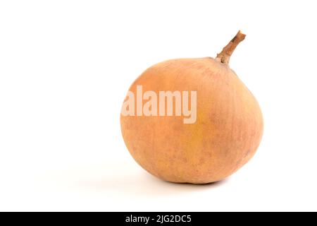 santol frutta isolato su sfondo bianco, il famoso frutto di Lop Buri, Thailandia e frutta di stagione il mese di giugno. Foto Stock