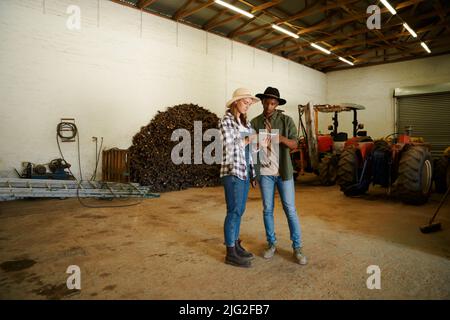 Agricoltori maschi e femmine che si trovano in una stanza dei latticini digitando su tavoletta digitale Foto Stock