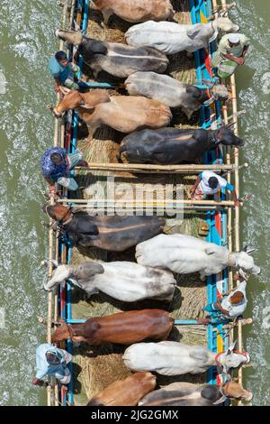 Dhaka, Bangladesh. 7 luglio 2022, Munshiganj, Dhaka, Bangladesh: I venditori trasportano decine di bestiame in barche strette con decine di persone su come sono portati in vendita in un mercato a Munshiganj, Bangladesh davanti a Eid-ul-Azha, Festa del sacrificio, uno dei più grandi festival musulmani. Più di un milione di bovini viaggiano per quasi 200 miglia sulle piccole imbarcazioni, accompagnate da passeggeri umani, molti dei quali sono arroccati a poppa e a poppa della nave sulla strada per il mercato. Credit: ZUMA Press, Inc./Alamy Live News Foto Stock