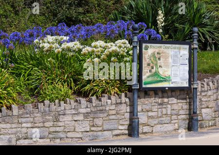 Boscombe Chine Gardens, Boscombe, Bournemouth UK nel mese di agosto Foto Stock