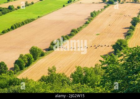 Balle di paglia su un campo da una vista aerea Foto Stock