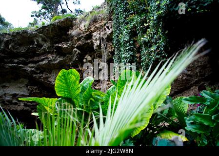 Umpherston Sinkhole - Monte Gambier - Australia Foto Stock