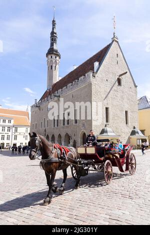 Viaggio in Estonia; un turista in un tour a cavallo e in carrozza di fronte al municipio medievale di Tallinn durante le vacanze estive, la città vecchia di Tallinn, Tallinn Estonia Foto Stock