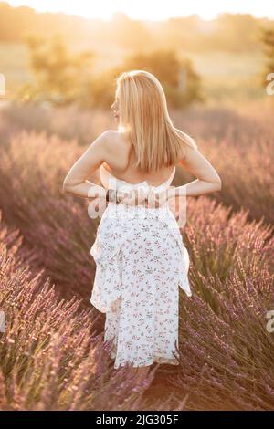 Enorme campo di lavanda di bei fiori in Ucraina Foto Stock