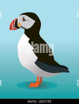 Un'illustrazione vettoriale di un puffin. Lo sfondo è blu. L'uccello guarda a sinistra. Illustrazione Vettoriale