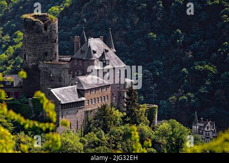 Valle del Reno con il castello di Katz, Patersberg, Patrimonio dell'Umanità dell'UNESCO Valle del Medio Reno superiore, Germania, Renania-Palatinato, Patersberg Foto Stock