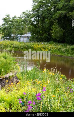 Foto scattata al National Botanic Garden Wales nel luglio 2022 che mostra il laghetto d'ingresso. Foto Stock