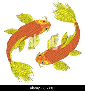 Due carpe giapponesi nello stile dei simboli feng shui. Pesci colorati come segno zodiacale. Illustrazione a colori. Illustrazione Vettoriale