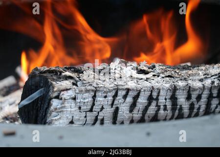 bruciatura di tronchi con fiamme visibili Foto Stock