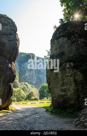 La formazione di rocce del cancello di Cracovia nel Parco Nazionale di Ojcowski in Polonia . Foto Stock