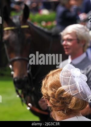 Un pilota guarda i cavalli nel ring della sfilata davanti ai British Stallion Stuts EBF Maiden Fillies' Stakes in Ladies Day of the Moet and Chandon July Festival presso Newmarket racecourse, Suffolk. Data foto: Giovedì 7 luglio 2022. Foto Stock