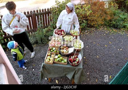 Raccolta sotto forma di diverse varietà di mele in autunno nella città vecchia di Linköping, Svezia Foto Stock