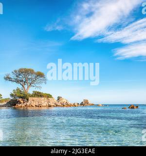 Notevole vista sulle spiagge di Palombaggia e Tamaricciu. Famosa destinazione di viaggio. Ubicazione: Porto-Vecchio, Corsica, Francia, Europa Foto Stock