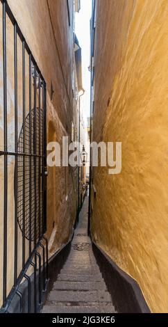 Vicolo di Marten Trotzig, svedese: Marten Trotzig Grand, la strada più stretta di Stoccolma con 36 gradini e 90 centimetri di larghezza, situato in Gamla stan, la città vecchia di Stoccolma, Svezia Foto Stock