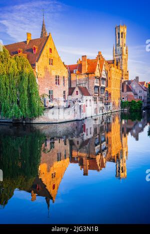 Bruges, Belgio. Il paesaggio dell'ora d'oro con lo splendido Rozenhoedkaai a Brugge, famoso punto di riferimento delle Fiandre. Foto Stock