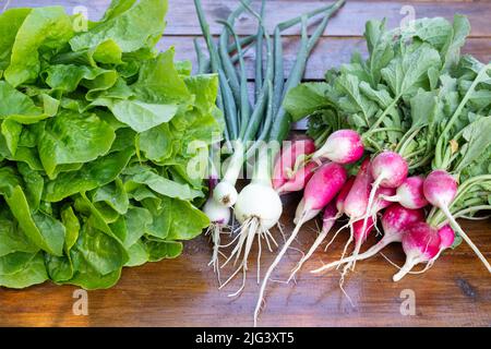 verdure fresche ed erbe su sfondo di legno. ingredienti di cibo crudo. immagine di stile di paese Foto Stock