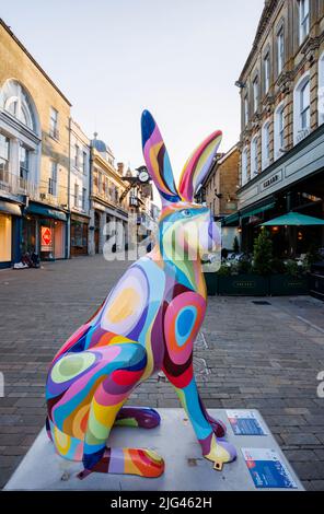 "Wavy Hare!", una scultura colorata di Amy Bourbon nell'evento estivo di Hares of Hampshire per il percorso d'arte pubblica ad High Street, Winchester Foto Stock