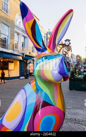 "Wavy Hare!", una scultura colorata di Amy Bourbon nell'evento estivo di Hares of Hampshire per il percorso d'arte pubblica ad High Street, Winchester Foto Stock