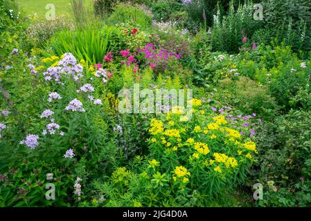 Giardino di campagna inglese all'inizio di luglio. Le piante includono Euphorbia Cornigera, Campanula Lactiflora e Geranium Psilostemon. Foto Stock