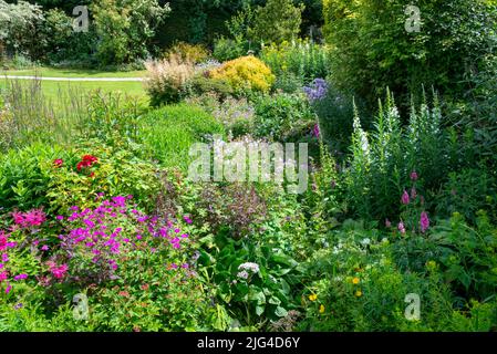 Giardino di campagna inglese all'inizio di luglio. Ampio confine pieno di arbusti e perenni. Foto Stock