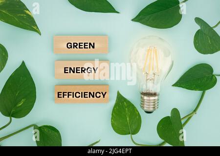 Lampadina circondata da foglie e testo su blocchi di legno, efficienza energetica verde, sistema ecologico, concetto creativo, fonti di energia moderne, luminoso Foto Stock