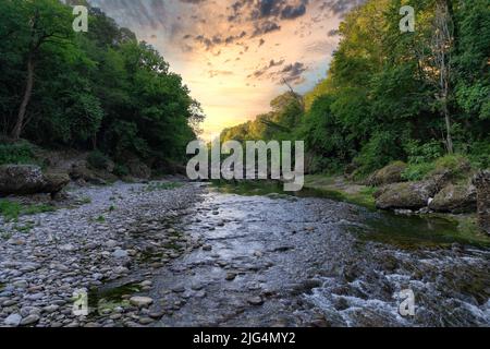 Vista aerea della campagna - tramonto sul fiume nella foresta, Lombardia, Italia Foto Stock